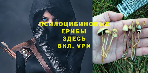 спиды Алексин